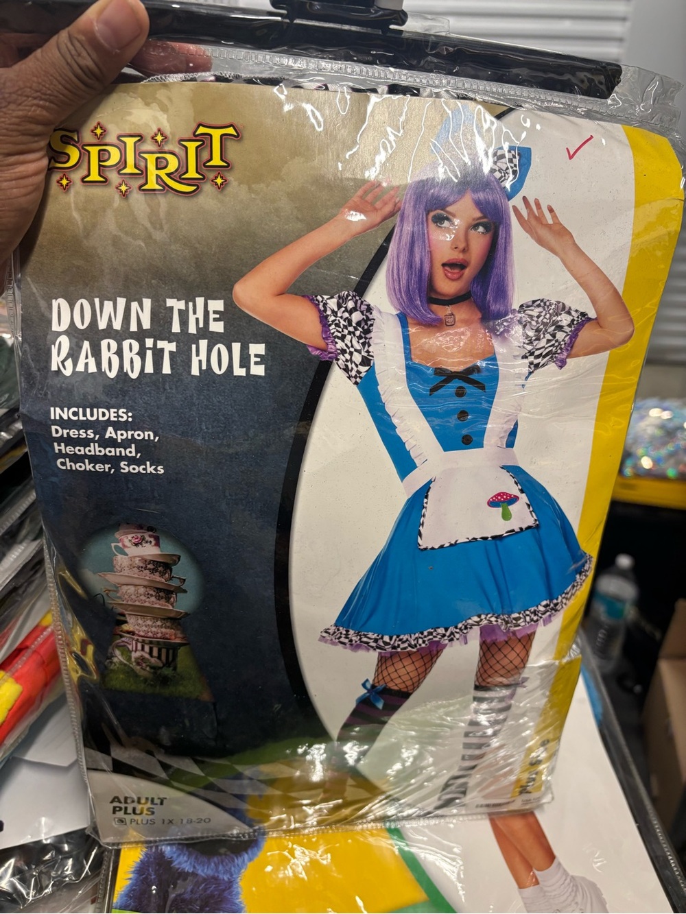 Adult Womens Plus 1X Alice Down the Rabbit Hole Costume